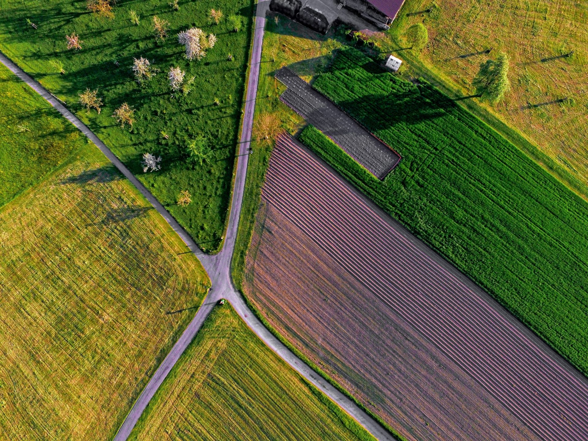 La vidéo par drone